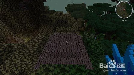 探秘像素地牢，深度解析远古森林副本