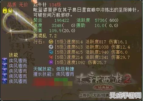 大话西游2深度攻略，敏魔属性加点全解析，打造战场疾风！