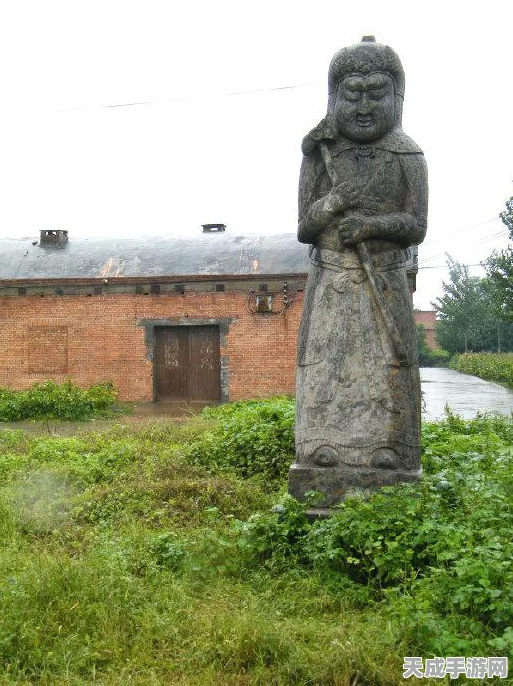 烟雨江湖深度解析，八极阵实战应用与策略揭秘