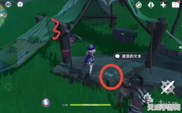 嘉明角色深度解析，原神中顶级武器搭配策略揭秘