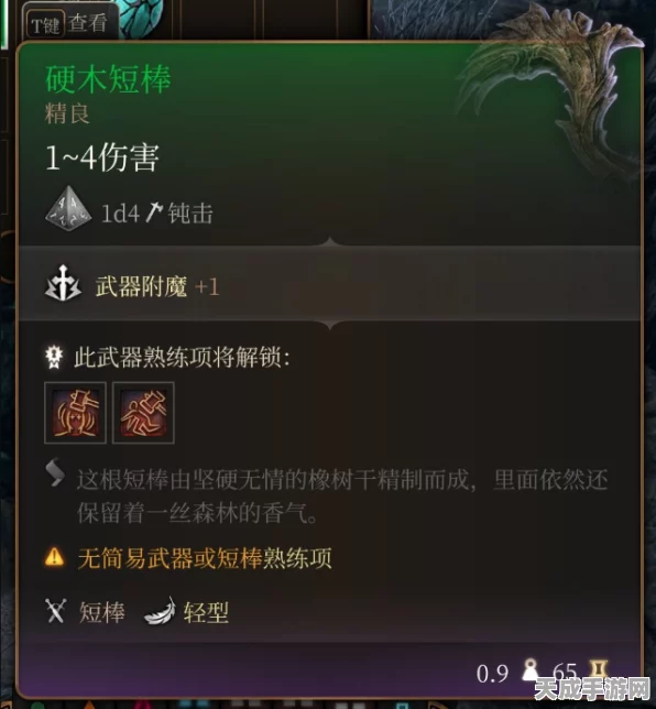 探秘博德之门 3 ，自我献祭戒指的神秘获取之道
