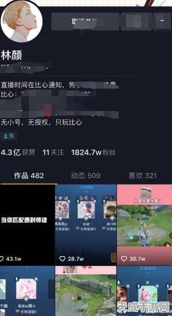 揭秘以闪亮之名邀请码，解锁专属福利与竞技盛宴