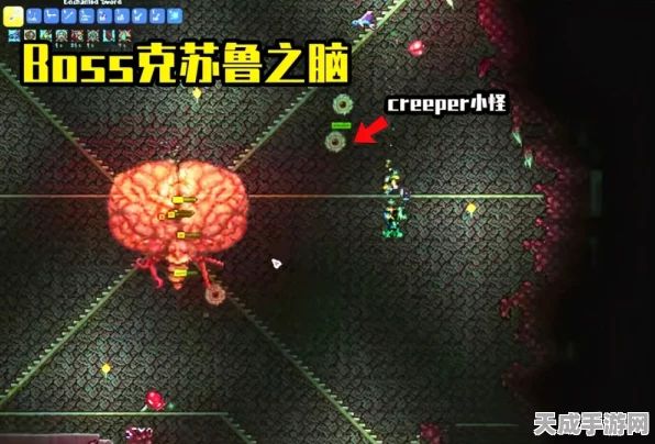 泰拉瑞亚，花式菜肴背后的神秘力量