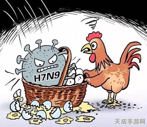 鹅鸭杀邮箱验证难题全破解，实用方法大公开