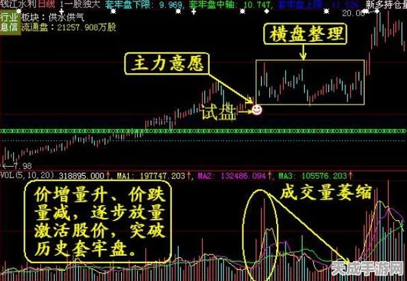 新月同行金桂技能深度剖析与实战攻略