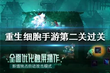 重生细胞，勇闯神秘山洞的终极指南