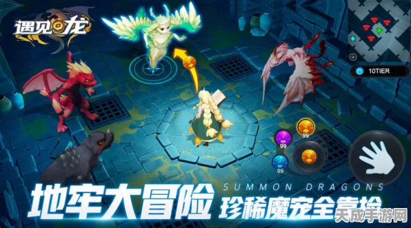 遇见龙手游，龙族禁地通关秘籍大揭秘