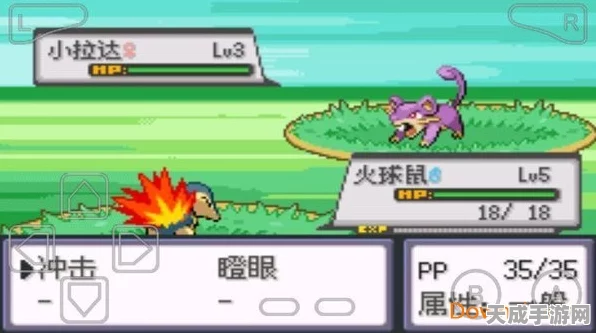 口袋妖怪黑 2 中利欧路进化的关键节点大揭秘