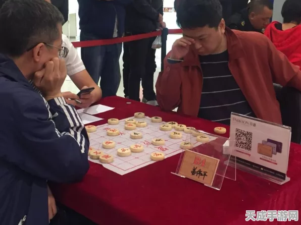 象棋新纪元，多乐象象棋大赛燃爆智慧与乐趣的碰撞