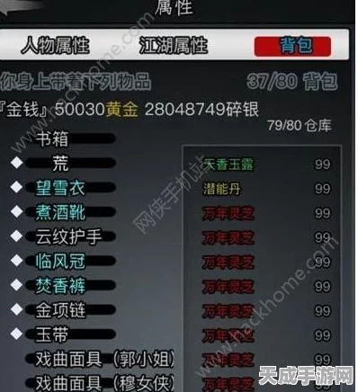 放置江湖38章主线全解析，资源管理大师教你如何制胜