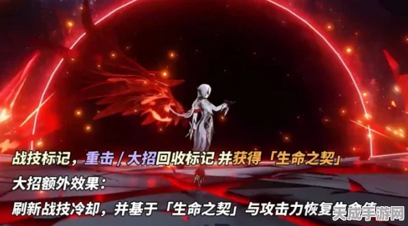 原神深度解析，阿蕾奇诺角色攻略与实战技巧大揭秘