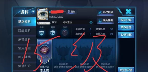 王者荣耀区标闪烁之谜，荣耀背后的秘密机制解析