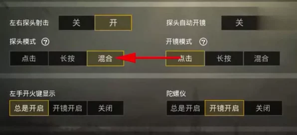 和平精英，探头设置秘籍大揭秘