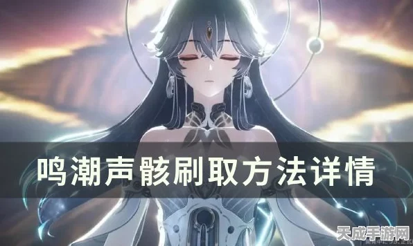 鸣潮梦魇·哀声鸷声骸全解析
