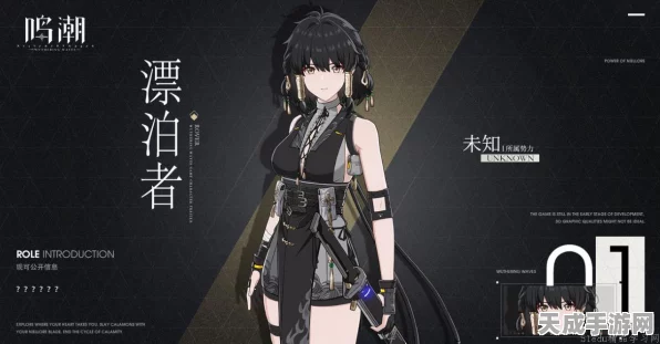 鸣潮梦魇·哀声鸷声骸全解析