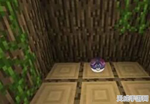 我的世界神奇宝贝，道具箱与书屋群系的奥秘解析