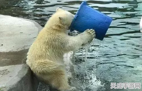 尘白禁区深度攻略，揭秘数据金的高效获取策略