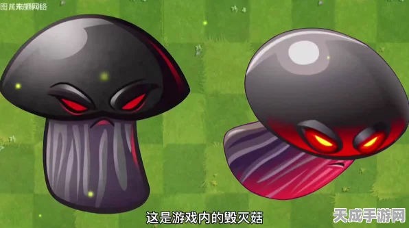 揭秘植物大战僵尸经典角色，毁灭菇投手登场版本全解析