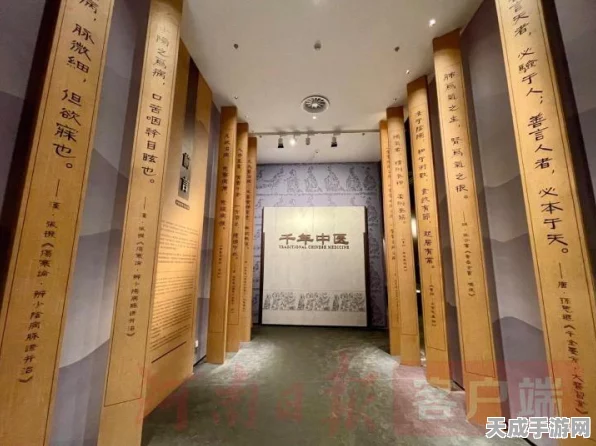 王都创世录挚友系统，深度探秘特色玩法