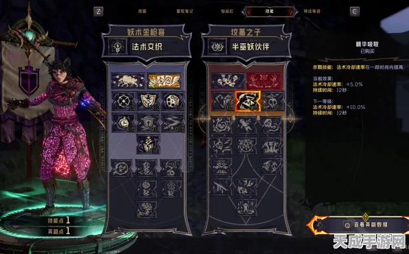 小缇娜的奇幻之地，宠物流加点秘籍大揭秘