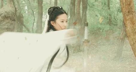 神雕侠侣22025年兑换码全攻略，解锁珍稀礼包，激活方法大揭秘