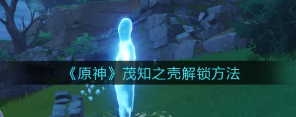 原神知茂之壳副本解锁全攻略，揭秘隐藏机制，助你轻松通关！