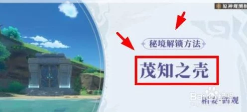 原神知茂之壳副本解锁全攻略，揭秘隐藏机制，助你轻松通关！