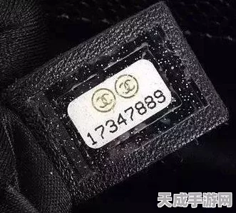轻松搞定！我的世界十字标去除秘籍大公开
