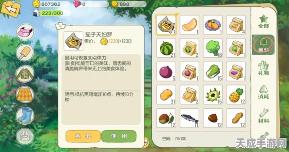 小森生活茄子天妇罗解锁秘籍，全面攻略与隐藏技巧大揭秘