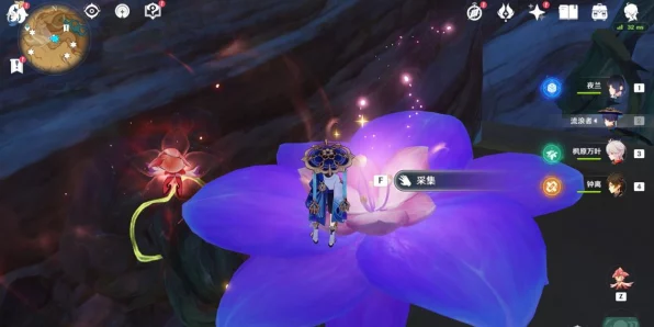 原神须弥探险指南，揭秘6朵珍稀忧昙花的高效采集路线
