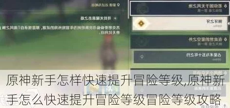 原神冒险等级飙升秘籍，独家攻略大揭秘