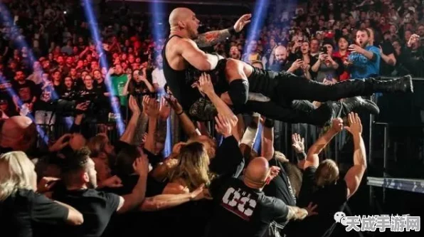 激情四溢！WWE 摔角游戏，热血对决与震撼表演全解析