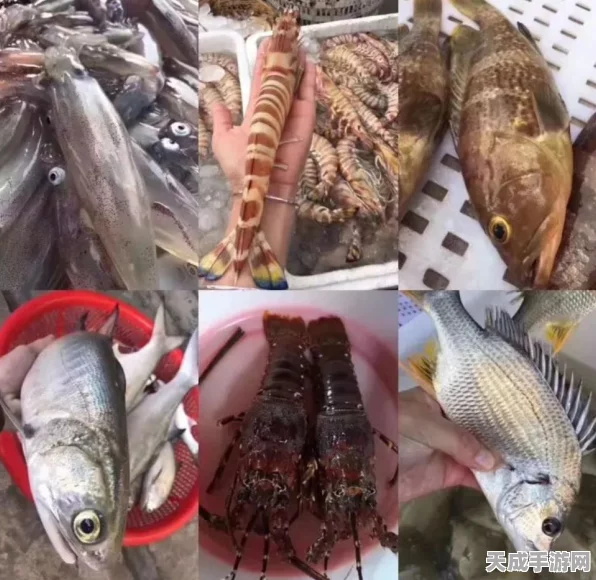 归龙潮鲜狮百味行第二天通关秘籍 超多细节玩法大揭秘
