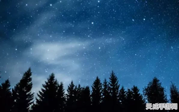 白夜极光，探秘光灵获取的奇妙之旅