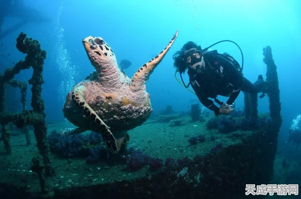 深海秘境探险，勇寻龙蜥神秘栖息地