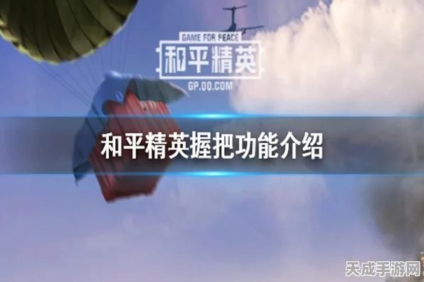 和平精英垂直握把实战秘籍，全面剖析结构性能与应用策略
