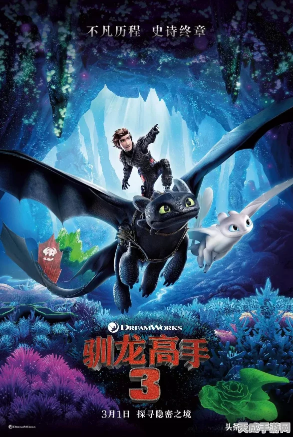 驯龙高手之旅，谁是最强之龙？