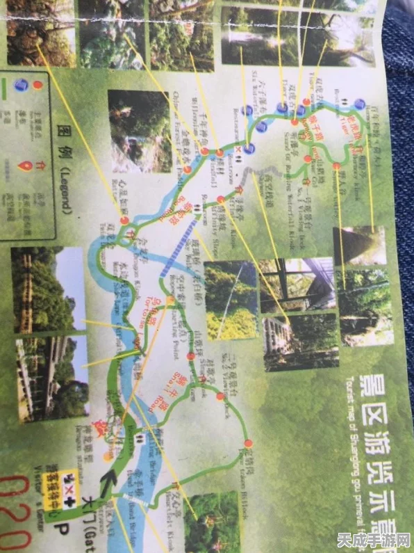 我的世界探险攻略，揭秘高效挖掘蜘蛛网的技巧与策略