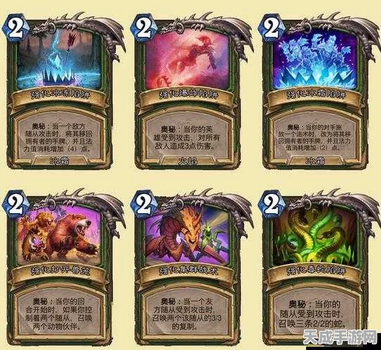 炉石传说终极进化全解析，图鉴揭秘与赛事亮点