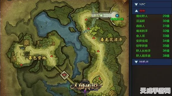 探寻创造与魔法神秘海域，美人鱼踪迹全揭秘
