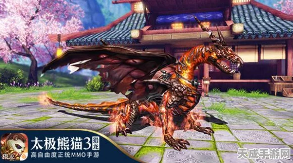 太极熊猫3猎龙，龙城争霸全攻略，解锁争霸赛制胜秘籍