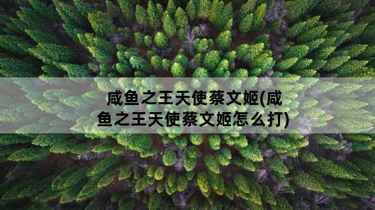 咸鱼之王遗迹蔡文姬挑战全解析，高效通关秘籍与实战精髓