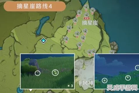 原神玩家必看，高效采集塞西莉亚花全攻略，解锁隐藏路线！