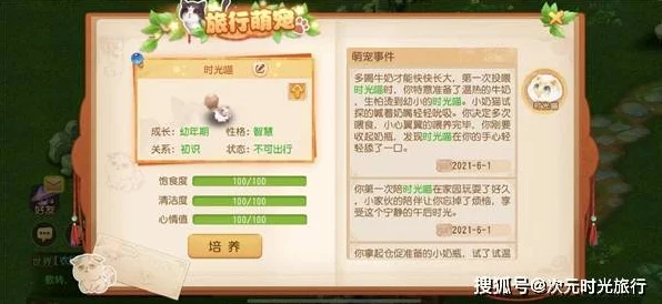 梦幻西游手游，揭秘萌宠代言人成就获取攻略，赢取丰厚奖励！