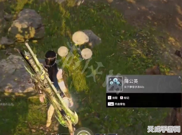 永劫无间探秘，蒲公英藏匿地点全揭秘，助你战场制胜
