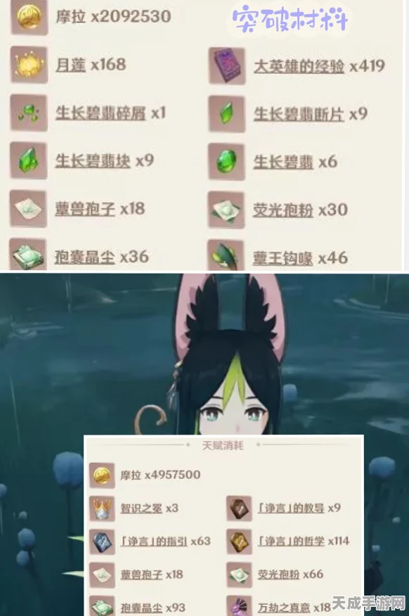 原神深度攻略，揭秘提纳里突破材料月莲的高效采集路线