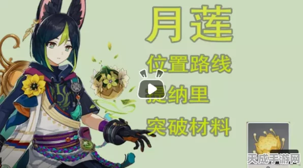 原神深度攻略，揭秘提纳里突破材料月莲的高效采集路线