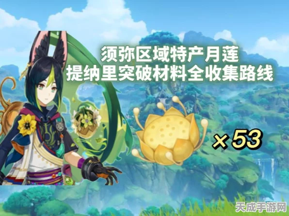 原神深度攻略，揭秘提纳里突破材料月莲的高效采集路线