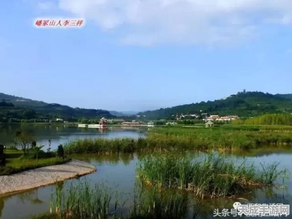 光遇七夕浪漫寻踪，先祖位置全揭秘，限定活动精彩纷呈