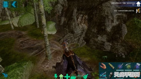 手游方舟，新手挖矿指南，揭秘矿洞位置与必备技能